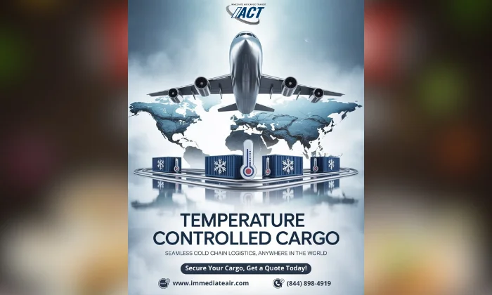 Digital Market Agency in Ludhiana