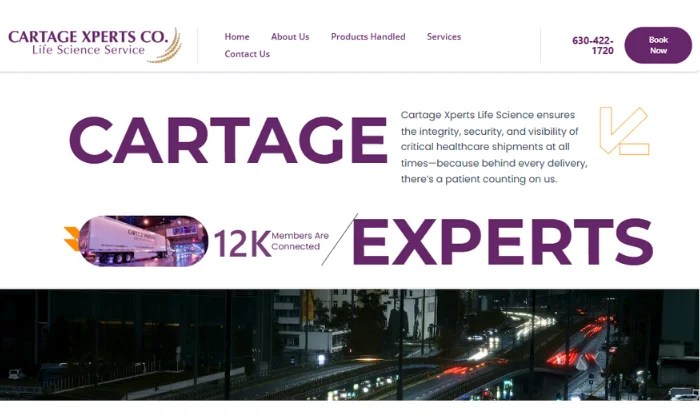 Digital Market Agency in Ludhiana