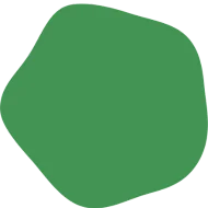 Digital Market Agency in Ludhiana